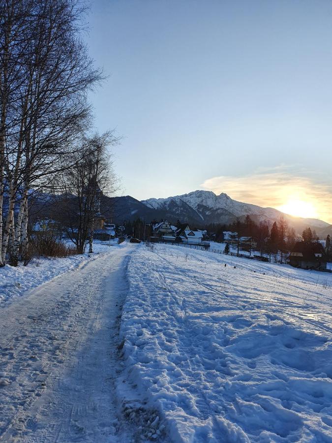 Podhalanskie Zacisze Zakopane Ngoại thất bức ảnh